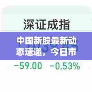 中国新股最新动态速递，今日市场走势揭秘
