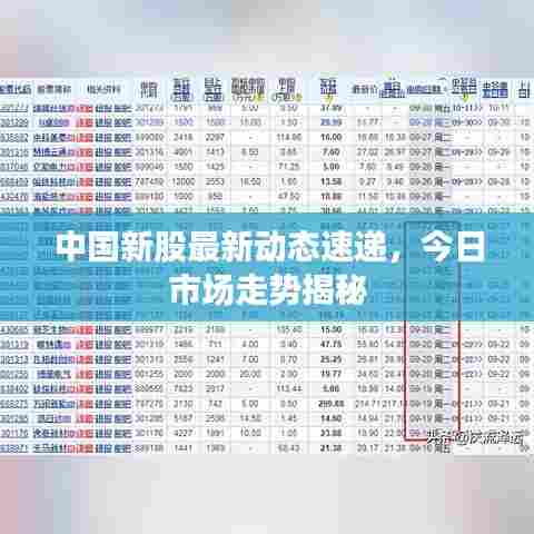 中国新股最新动态速递,今日市场走势揭秘