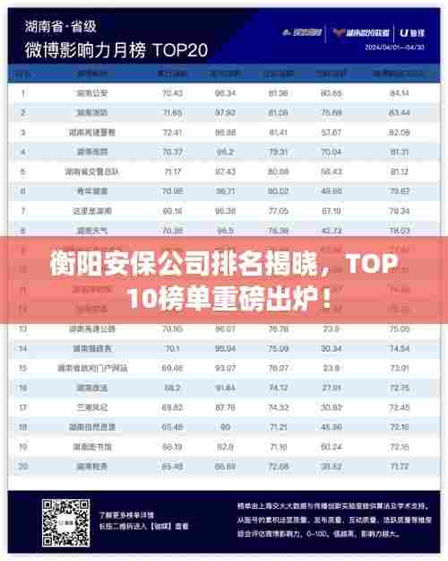 衡阳安保公司排名揭晓，TOP 10榜单重磅出炉！