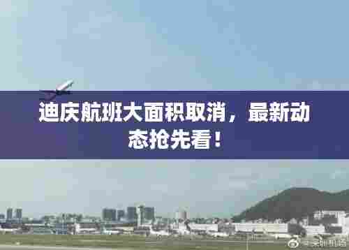 迪庆航班大面积取消，最新动态抢先看！