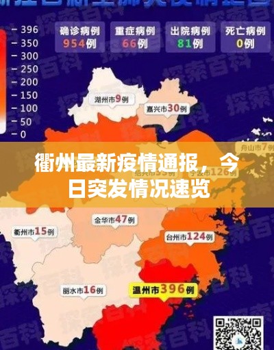 衢州最新疫情通报,今日突发情况速览