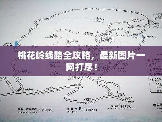 桃花岭线路全攻略，最新图片一网打尽！