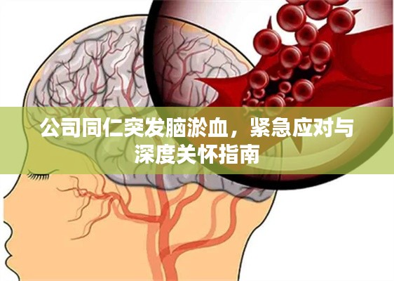 公司同仁突发脑淤血,紧急应对与深度关怀指南