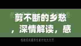 集思广益 第7页