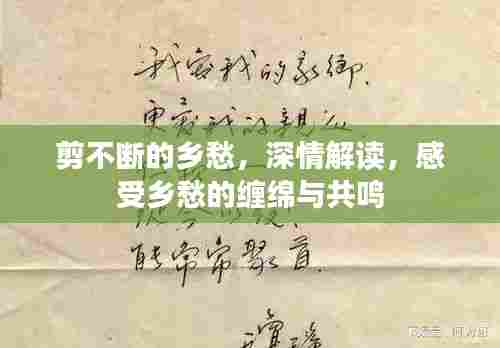 剪不断的乡愁,深情解读,感受乡愁的缠绵与共鸣