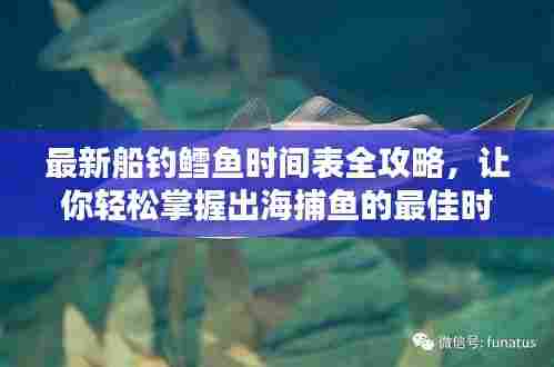 最新船钓鳕鱼时间表全攻略，让你轻松掌握出海捕鱼的最佳时机！