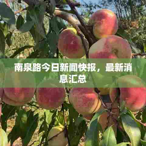 南泉路今日新闻快报,最新消息汇总