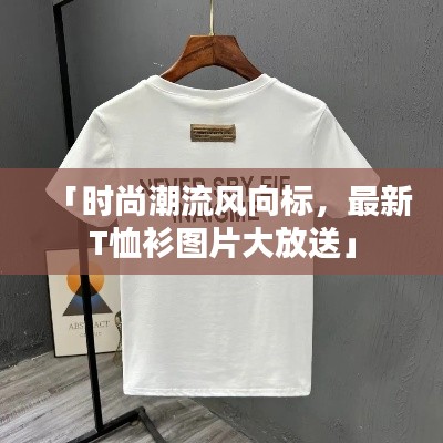 「时尚潮流风向标，最新T恤衫图片大放送」