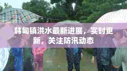韩甸镇洪水最新进展,实时更新,关注防汛动态