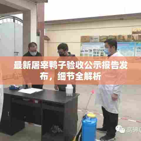 最新屠宰鸭子验收公示报告发布,细节全解析