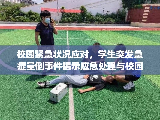 校园紧急状况应对,学生突发急症晕倒事件揭示应急处理与校园安全的重要性