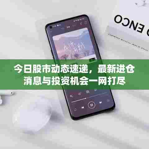 今日股市动态速递,最新进仓消息与投资机会一网打尽