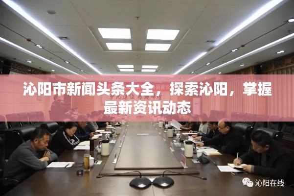 空前绝后 第6页