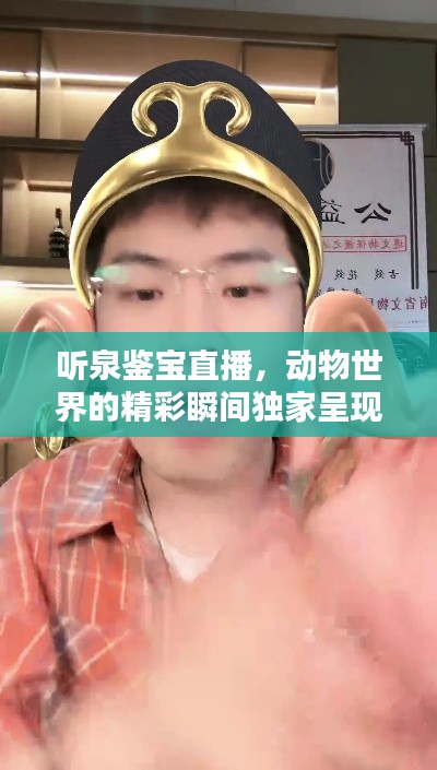 听泉鉴宝直播，动物世界的精彩瞬间独家呈现
