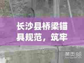 长沙县桥梁锚具规范，筑牢安全质量防线，保障桥梁建设品质卓越