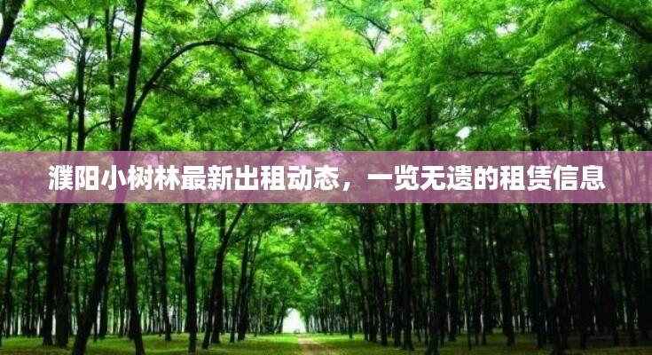 濮阳小树林最新出租动态,一览无遗的租赁信息
