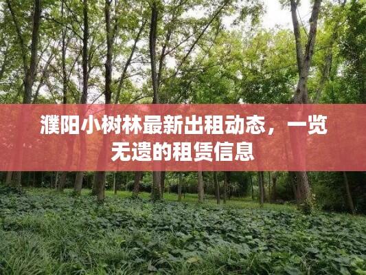 濮阳小树林最新出租动态,一览无遗的租赁信息