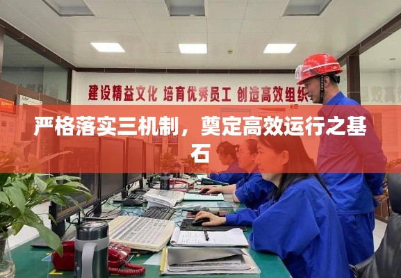 严格落实三机制，奠定高效运行之基石