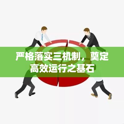 严格落实三机制,奠定高效运行之基石