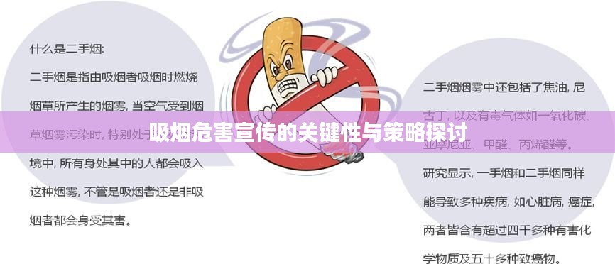 吸烟危害宣传的关键性与策略探讨
