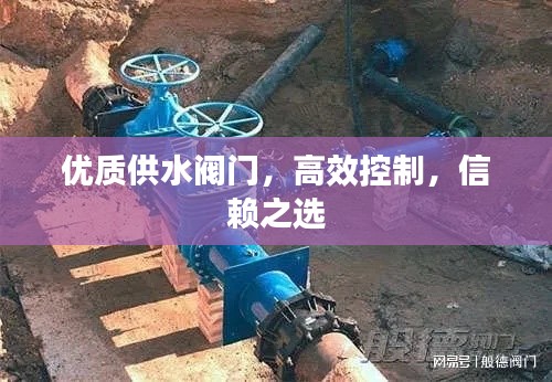 优质供水阀门,高效控制,信赖之选