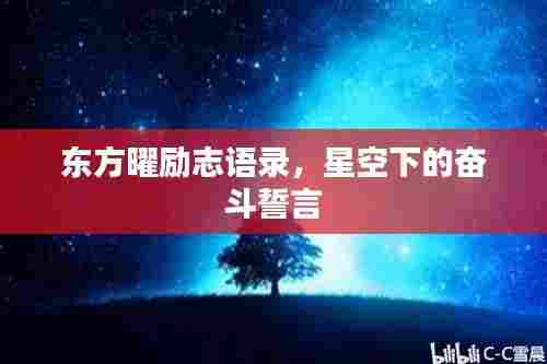 东方曜励志语录，星空下的奋斗誓言