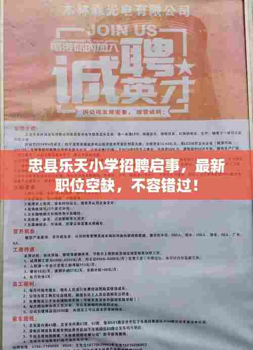 忠县乐天小学招聘启事,最新职位空缺,不容错过!