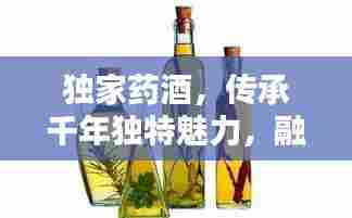 独家药酒,传承千年独特魅力,融合创新之道