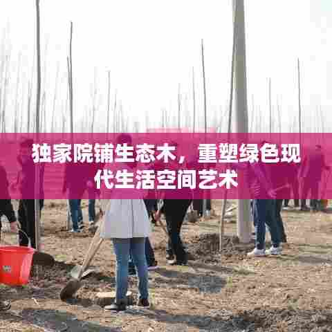 独家院铺生态木,重塑绿色现代生活空间艺术