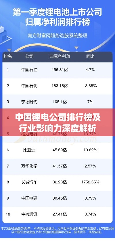 中国锂电公司排行榜及行业影响力深度解析