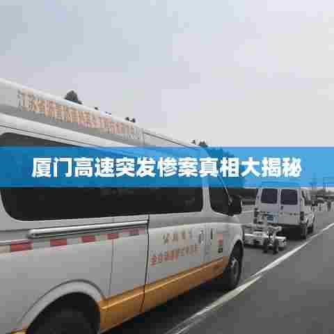 厦门高速突发惨案真相大揭秘