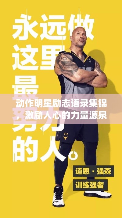 动作明星励志语录集锦，激励人心的力量源泉