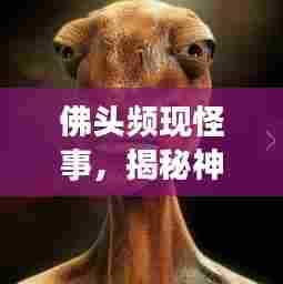 高人雅士 第5页