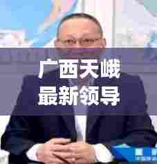 广西天峨最新领导层一览，新任领导成员揭秘！