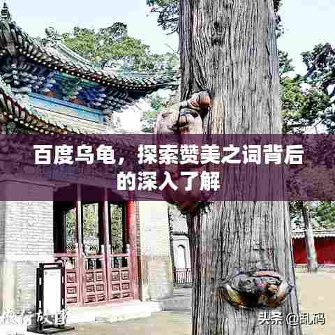 百度乌龟，探索赞美之词背后的深入了解