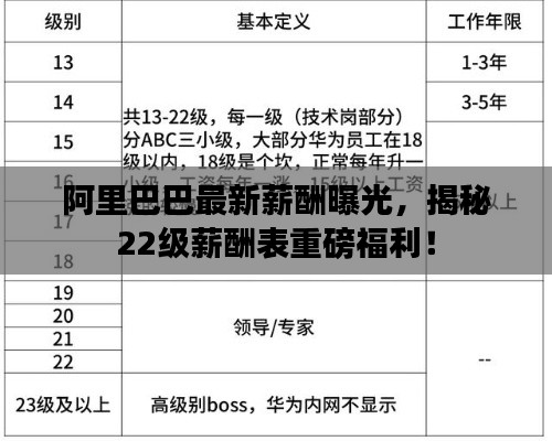 阿里巴巴最新薪酬曝光,揭秘22级薪酬表重磅福利!