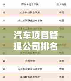 汽车项目管理公司排名揭秘,行业佼佼者影响力深度解析