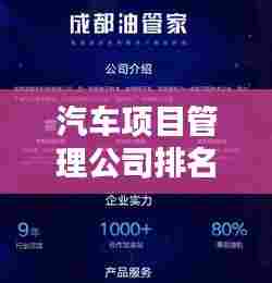 汽车项目管理公司排名揭秘,行业佼佼者影响力深度解析