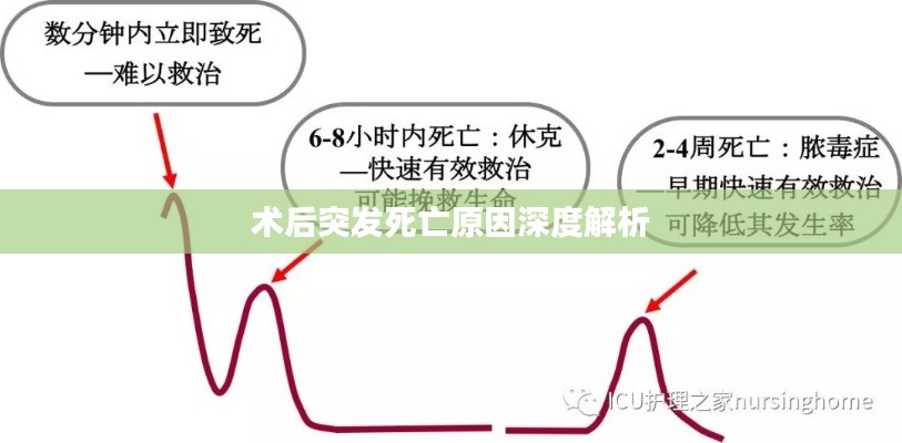 术后突发死亡原因深度解析