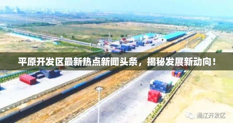 平原开发区最新热点新闻头条,揭秘发展新动向!