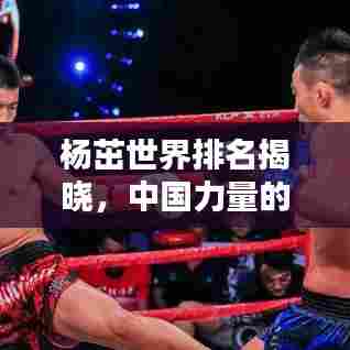 杨茁世界排名揭晓，中国力量的最新高度标杆
