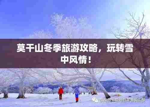 莫干山冬季旅游攻略,玩转雪中风情!
