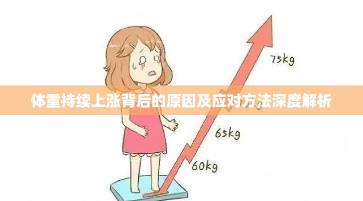 体重持续上涨背后的原因及应对方法深度解析