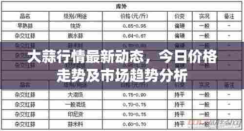 大蒜行情最新动态,今日价格走势及市场趋势分析
