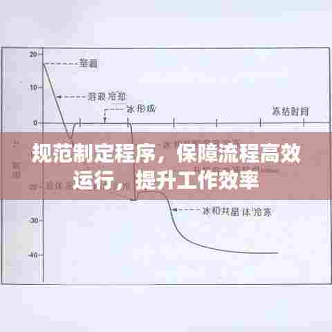 规范制定程序,保障流程高效运行,提升工作效率