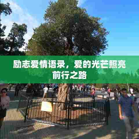 励志爱情语录,爱的光芒照亮前行之路