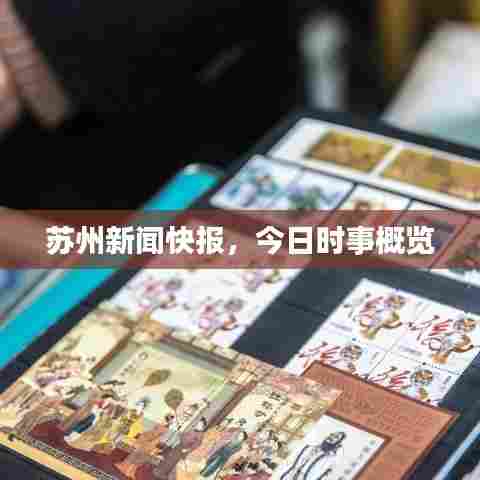 苏州新闻快报,今日时事概览