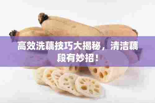 高效洗藕技巧大揭秘,清洁藕段有妙招!