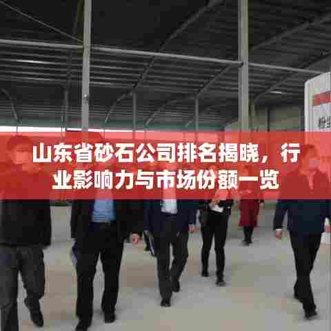 山东省砂石公司排名揭晓，行业影响力与市场份额一览