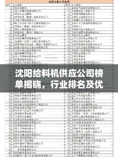 沈阳给料机供应公司榜单揭晓,行业排名及优选公司